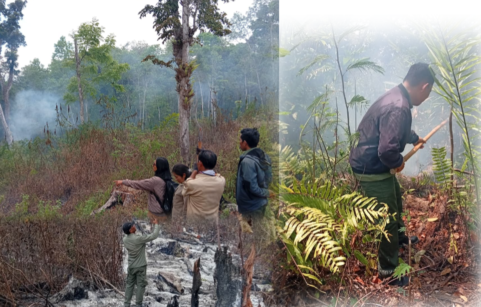 Karhutla Melanda Kawasan Hutan Lindung Ragadongu, Tim Gabungan UPTD KPH Sumba Barat-Sumba Tengah Lakukan Pemadaman